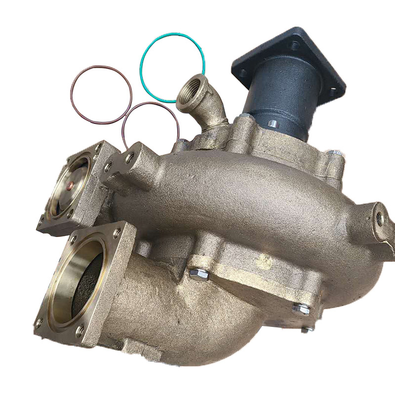 4314820 Sea Water Pump (1)