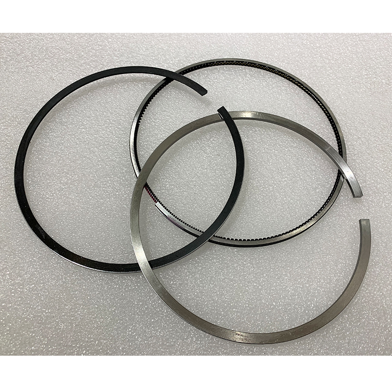 4089489 Piston Ring Set(4)