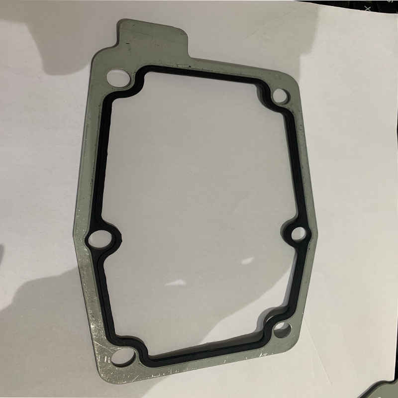 Cover Plate Gasket 3642342 d