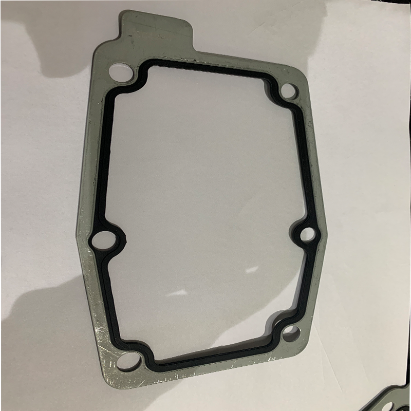 Cover Plate Gasket 3642342 e