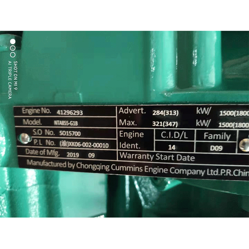 NTA855-G1B Engine Assembly (1)