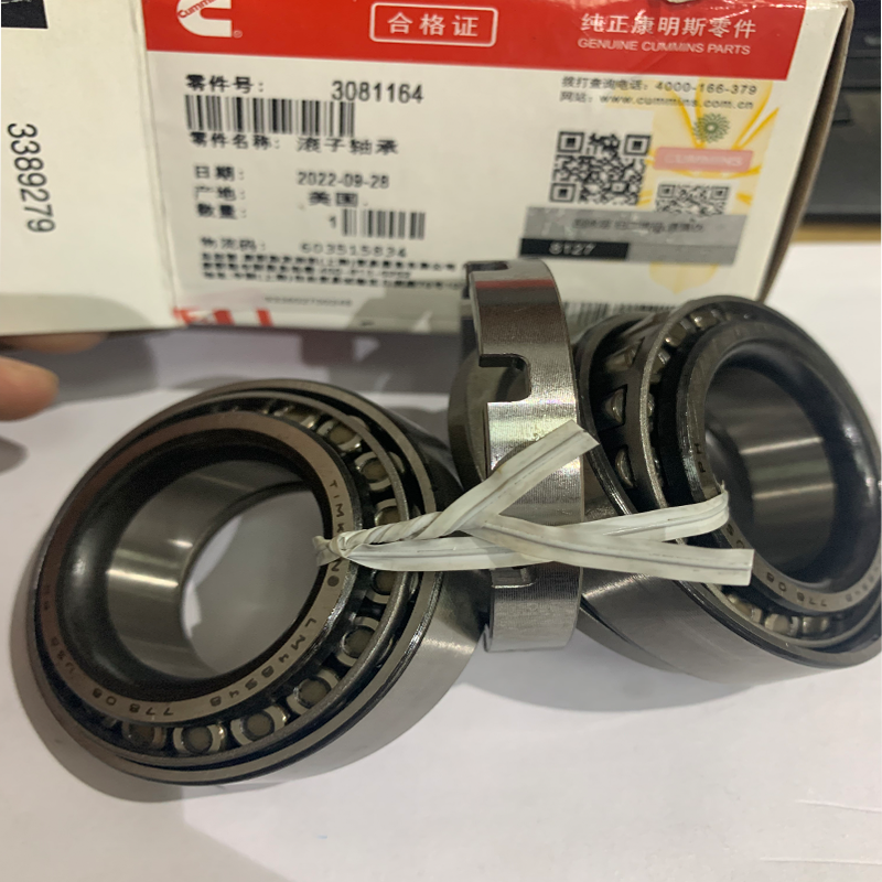 Roller Bearing 3