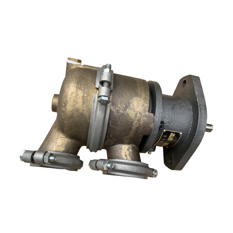 Z3900176 sea water pump (3)